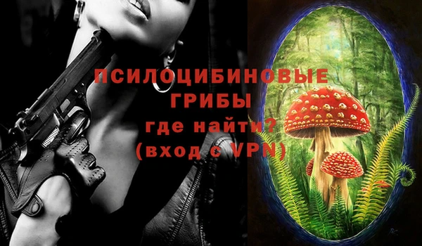 метадон Армянск