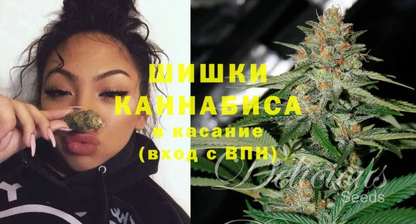 spice Аркадак