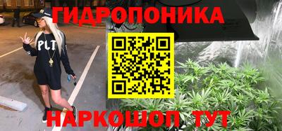 скорость Гатчина