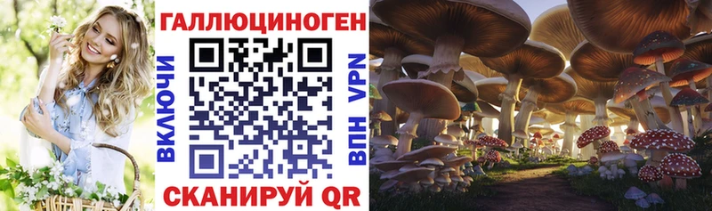 что такое наркотик  Новодвинск  Псилоцибиновые грибы Psilocybine cubensis 