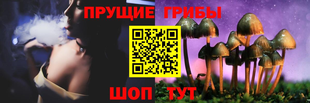 Псилоцибиновые грибы Cubensis  Вход с VPN  Новодвинск  Галлюциногенные грибы Magic Shrooms 