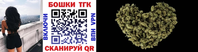 Бошки Шишки план Новодвинск